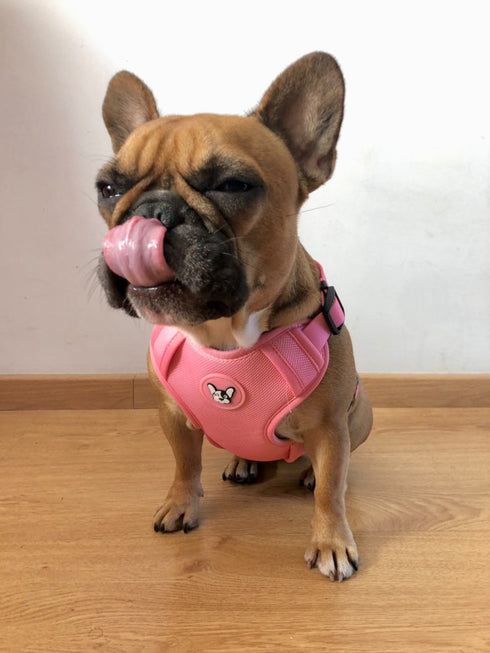 Arnes Doble Agarre Rosa